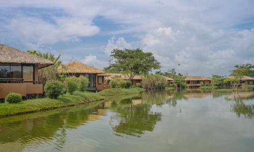 Water Garden